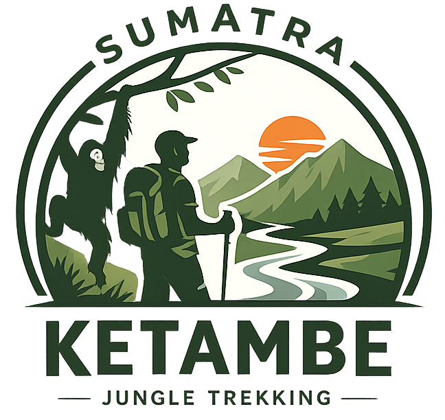 Sumatraketambejungletrekking.com